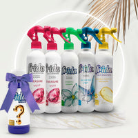 Frida Luft & Bodenerfrischer Duftpaket 6 Düfte, langanhaltend