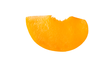 shape